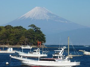 今日の富士山（戸田港）