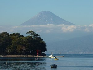 今日の富士山（戸田港）