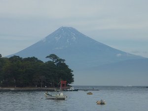 今日の富士山（戸田港）