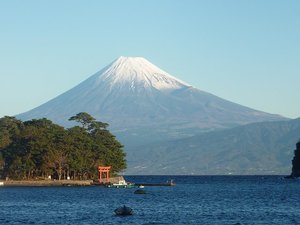 今日の富士山（戸田港）