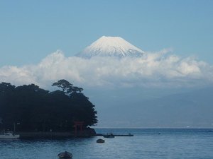 今日の富士山（戸田港）
