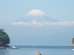 今日の富士山（戸田港）
