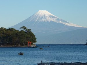 今日の富士山（戸田港）