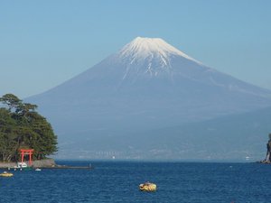 今日の富士山（戸田港）