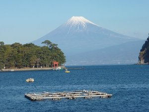 今日の富士山（戸田港）