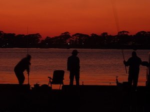 夕暮れの戸田港