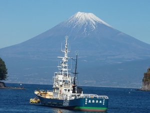 今日の富士山（戸田港）