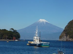 今日の富士山（戸田港）