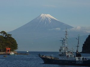今日の富士山（戸田港）