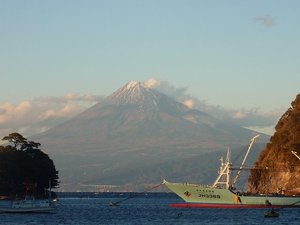 今日の富士山（戸田港）
