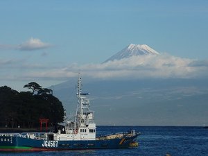 今日の富士山（戸田港）
