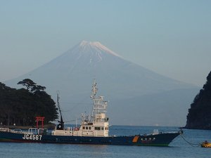 今日の富士山（戸田港）