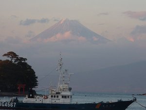 今日の富士山（戸田港）