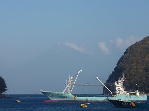 今日の富士山（戸田港）