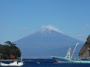 今日の富士山（戸田港）