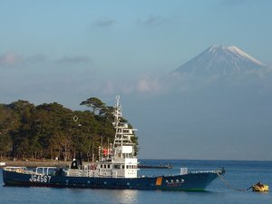 今日の富士山（戸田港）