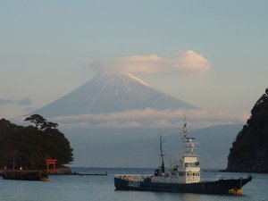 今日の富士山(戸田港）