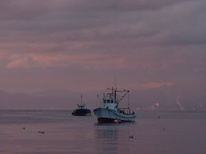 夕暮れの戸田港