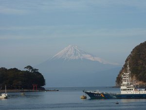 今日の富士山（戸田港）