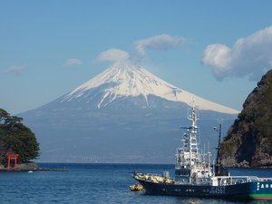 今日の富士山（戸田港）