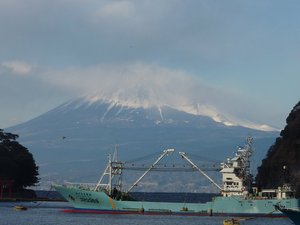 今日の富士山（戸田港）