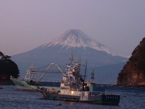 今日の富士山（戸田港）