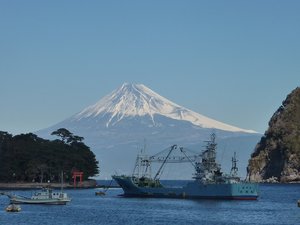 今日の富士山（戸田港）