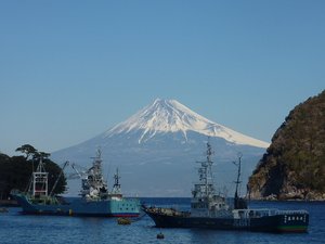 今日の富士山（戸田港）