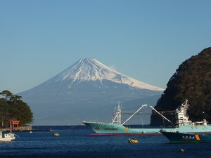 今日の富士山（戸田港）