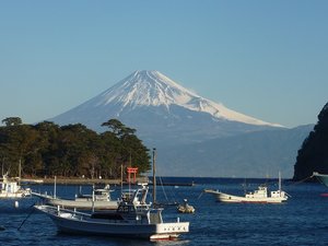 今日の富士山（戸田港）