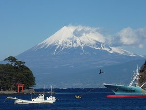 今日の富士山（戸田港）