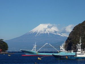 今日の富士山（戸田港）
