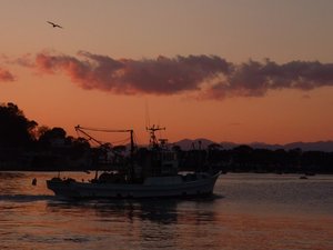 夕暮れの戸田港