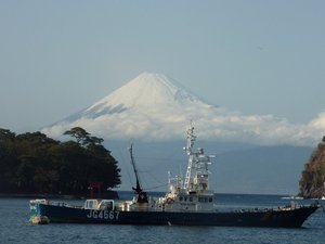 今日の富士山（戸田港）