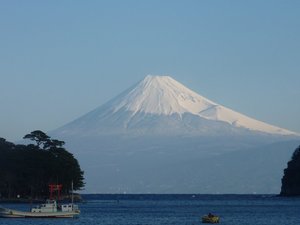 今日の富士山（戸田港）