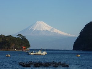 今日の富士山（戸田港）