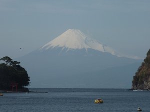 今日の富士山(戸田港）