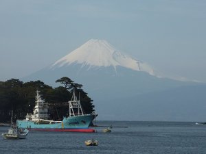 今日の富士山(戸田港）