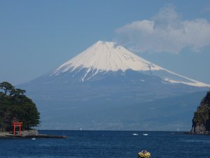 今日の富士山（戸田港）