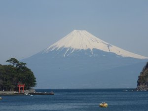 今日の富士山（戸田港）