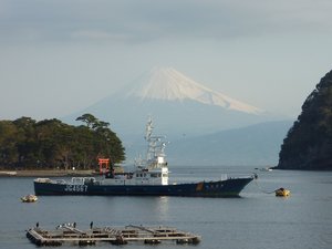 今日の富士山（戸田港）