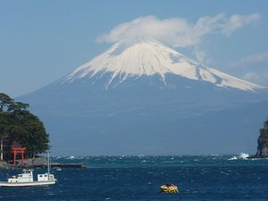 今日の富士山（戸田港）