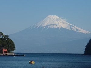 今日の富士山（戸田港）