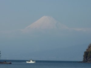 今日の富士山（戸田港）