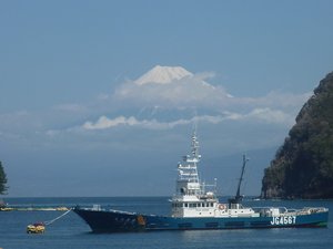今日の富士山（戸田港）
