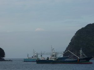 今日の富士山（戸田港）