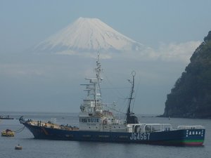 今日の富士山（戸田港）