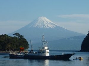 今日の富士山（戸田港）