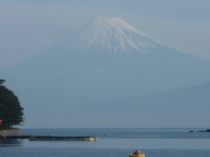 今日の富士山（戸田港）