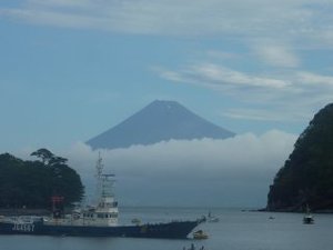 今日の富士山（戸田港）